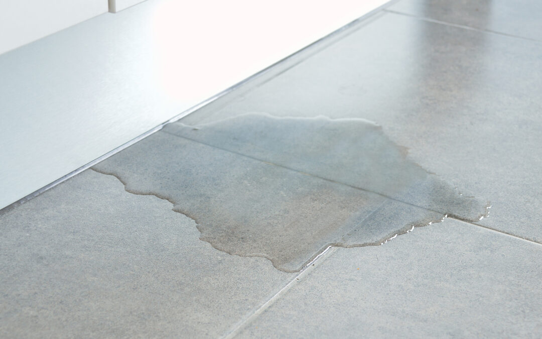 Water Damage in Australian Homes