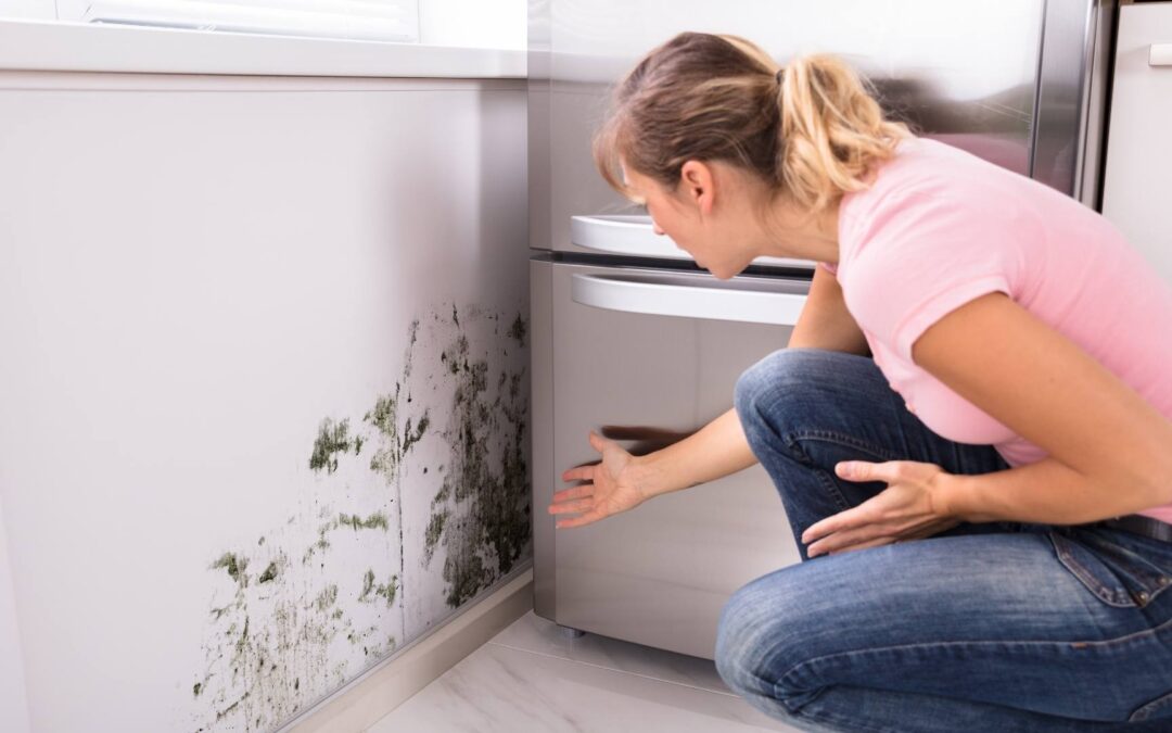 Most Common Places to Check for Mould in Your Home