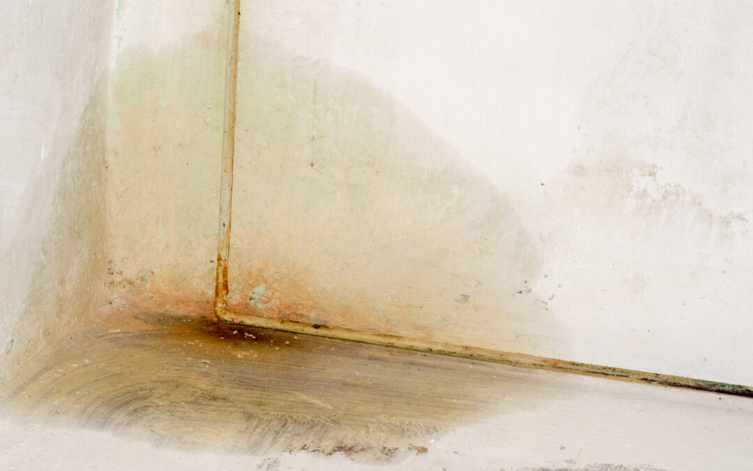Professional leak detection – is it worth the cost