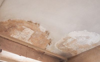 Rising Dampness: The Hidden Danger in Your Home